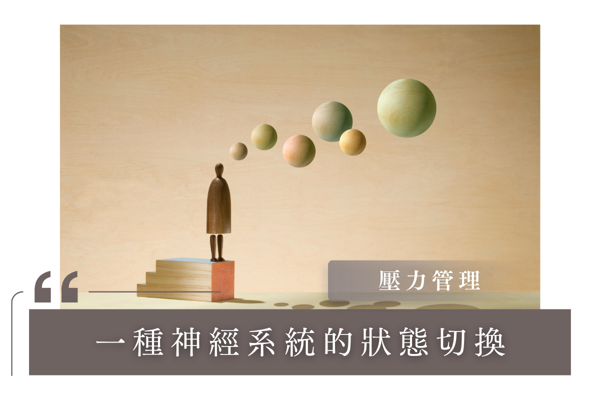 壓力管理：一種神經系統的狀態切換